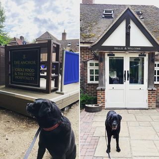 The Anchor Country Pub & Restaurant, Pyrford Lock, Wisley